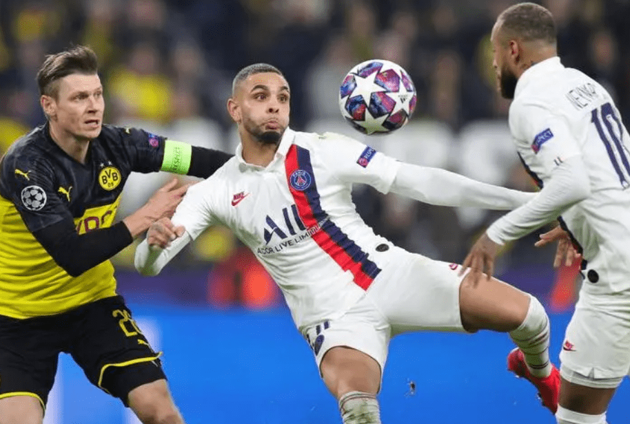 他们的蓬勃 他们的蓬勃