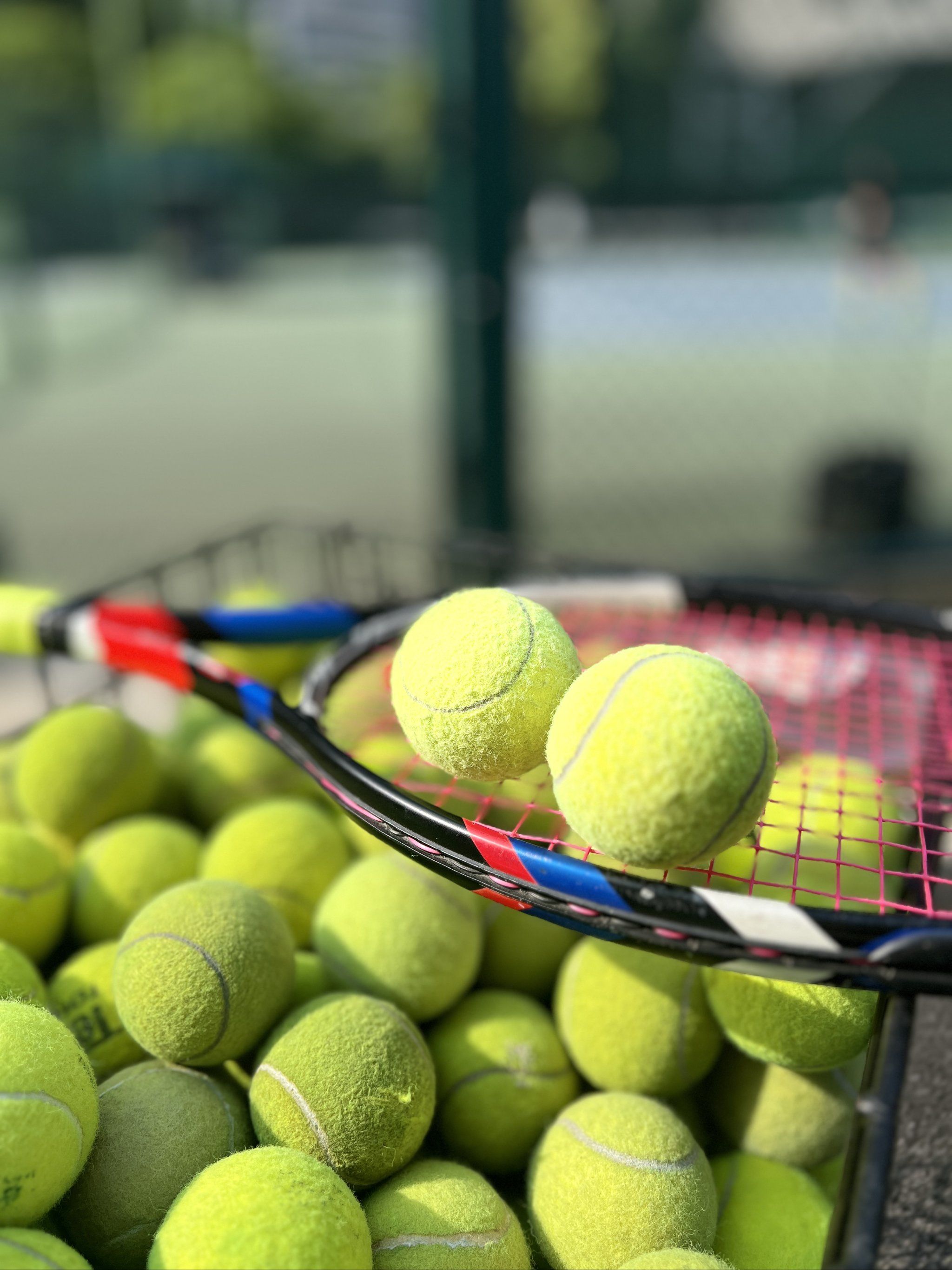 的各种活动 的各种活动